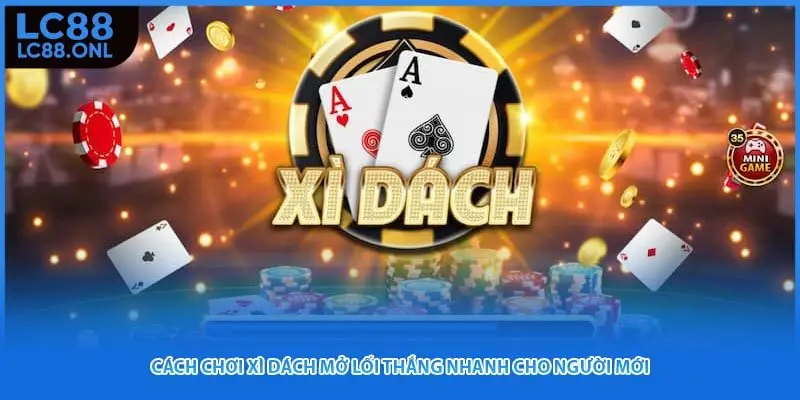 Cách Chơi Xì Dách Mở Lối Thắng Nhanh Cho Người Mới