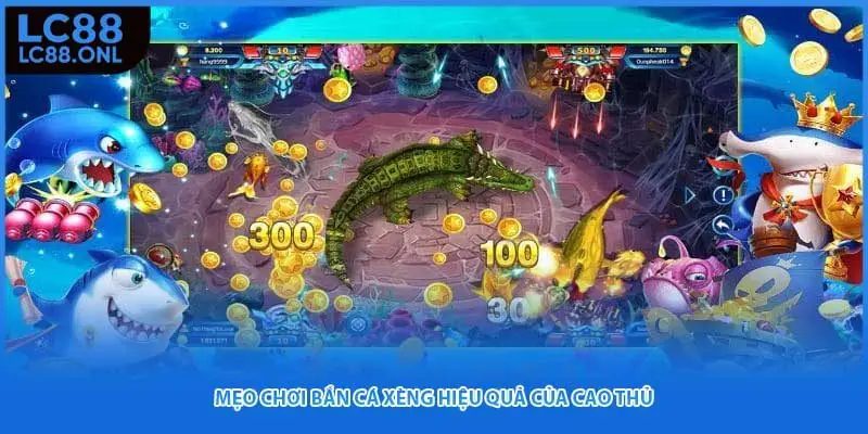 Mẹo chơi bắn cá xèng hiệu quả của cao thủ